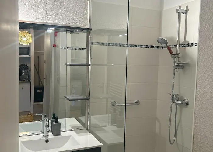 Climatise Avec Parking Securisee 105 * Agen