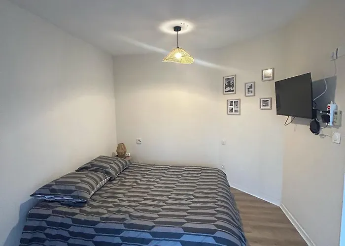 Climatise Avec Parking Securisee 105 * Agen